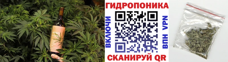 Cannafood конопля  Купить где  Аткарск 