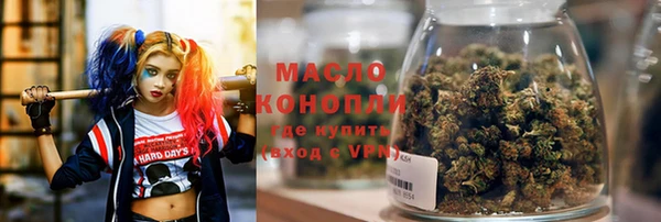винт Каменка