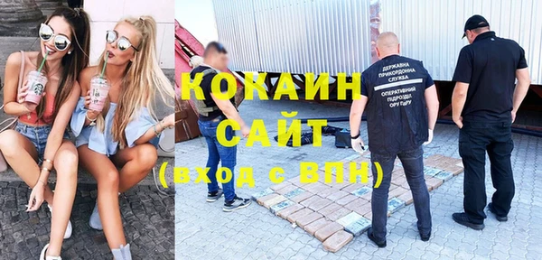 винт Каменка