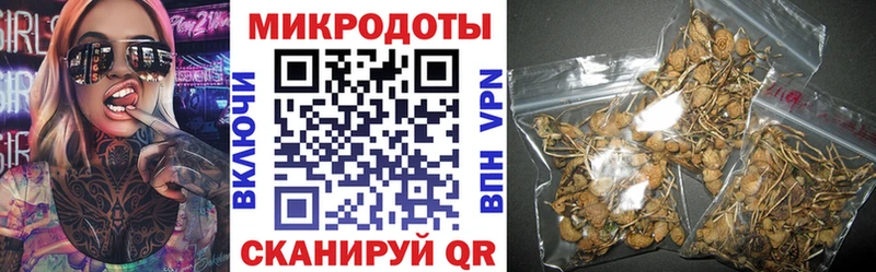 Купить закладки  Аткарск  Галлюциногенные грибы GOLDEN TEACHER 